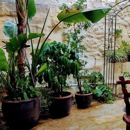 הגן הקסום, הצימר בבאר שבע Hotel Esterno foto